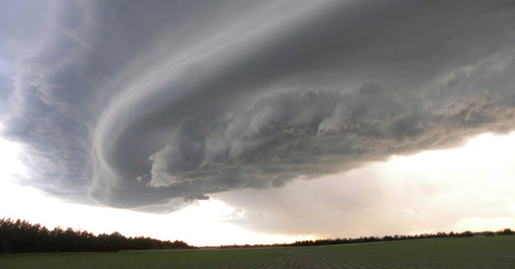 Weathering the new storms:  risks and culture in agribusiness | Turlough Guerin for Farm Institutes Insights