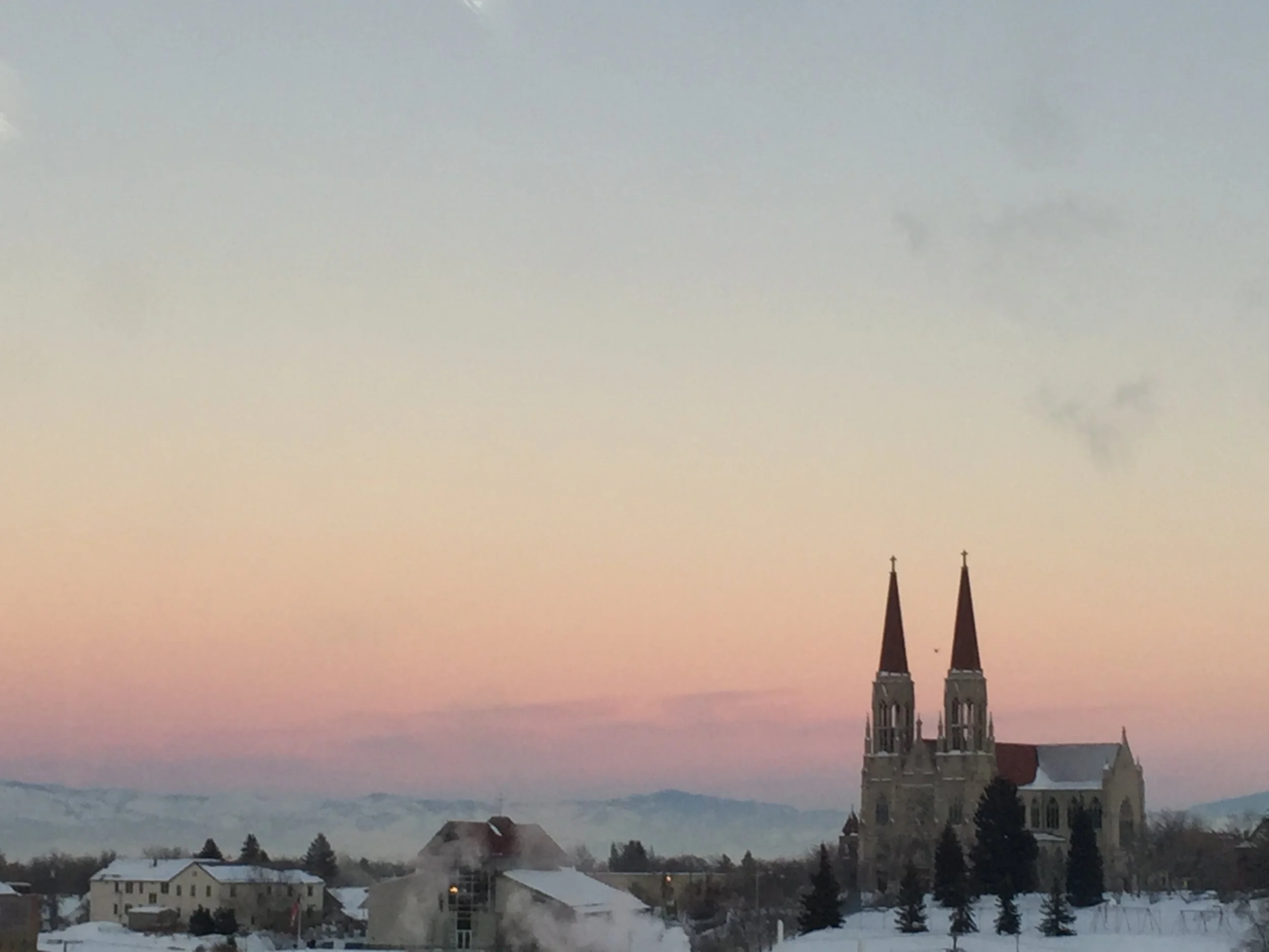 Getting Out Alive: A Story of Professional Survival