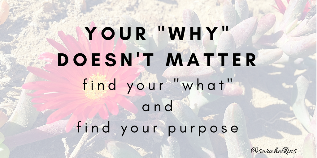 your _why_ doesn't matter.png