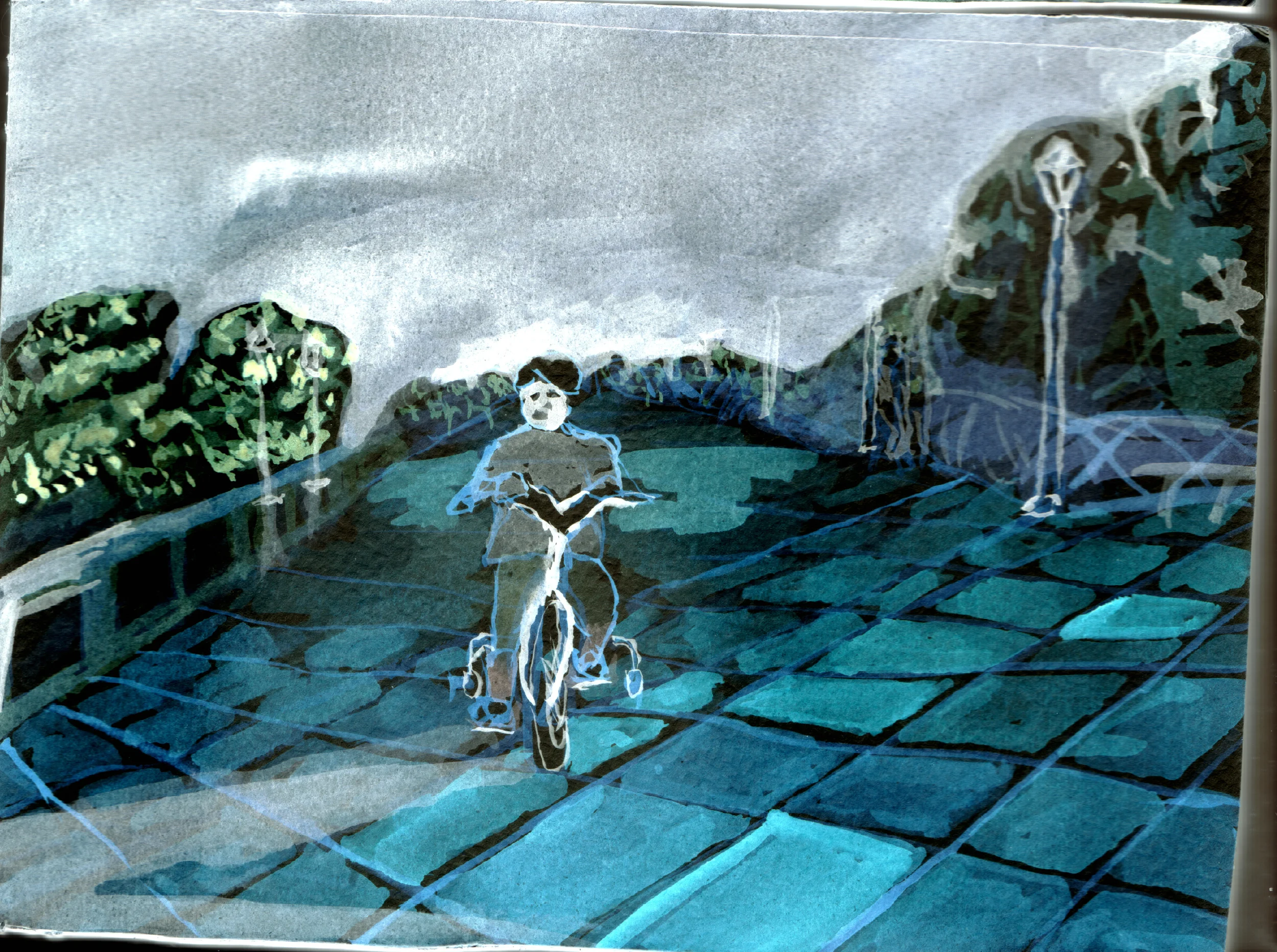 pos bike .jpg