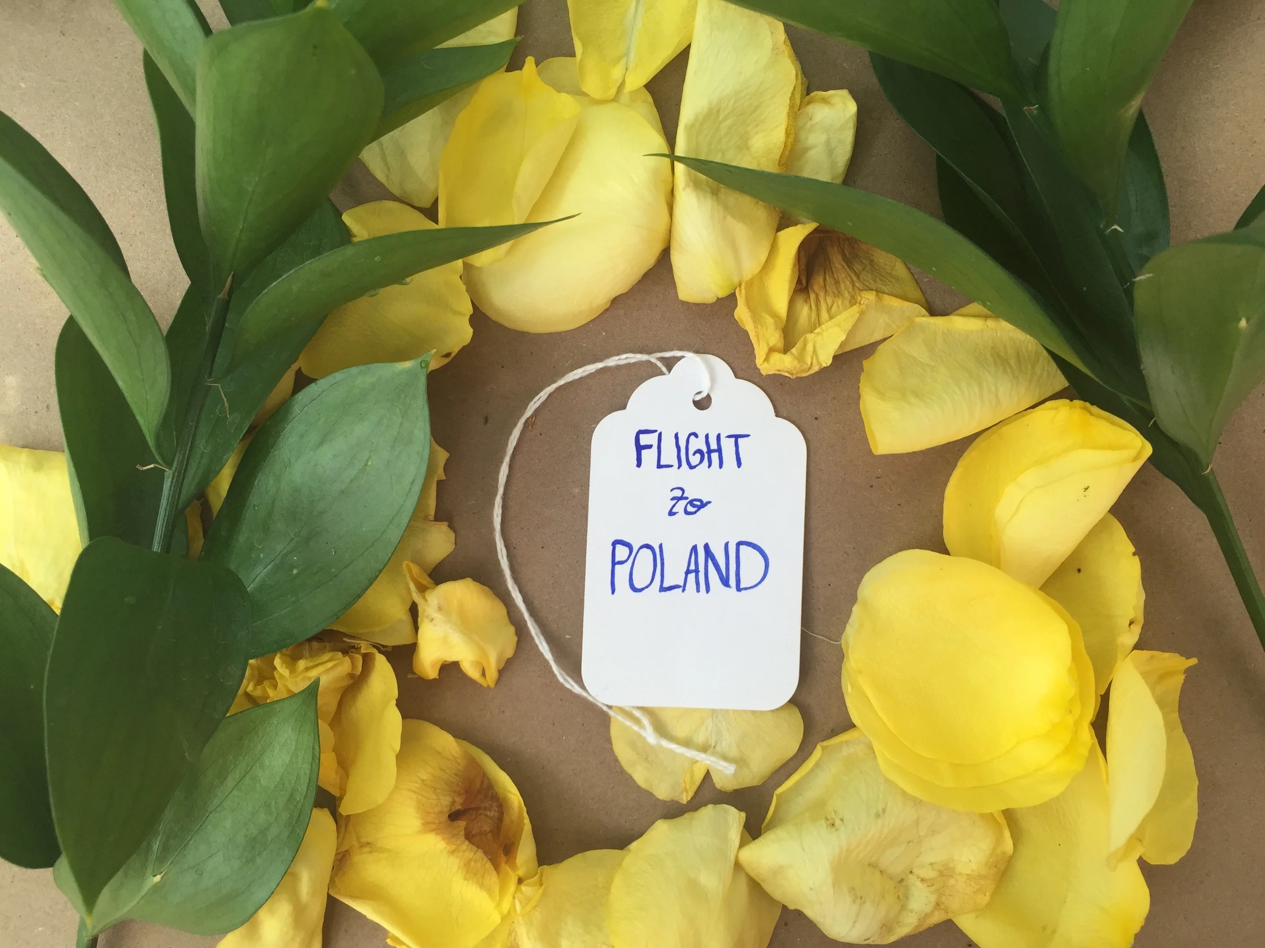 Flight_to_poland.jpg