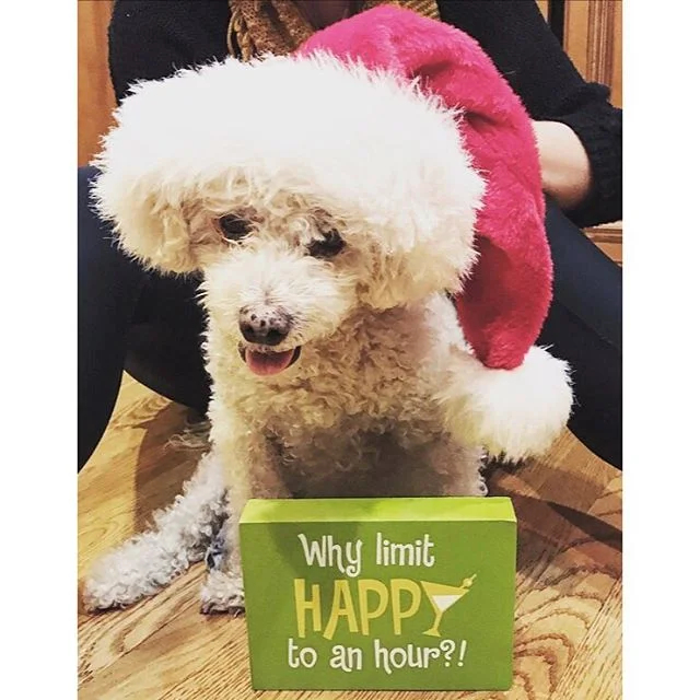 Cosmo is officially ready for the holiday season, are you?! This holiday season expect some extra saucy gifts from the Gambol gang! More to come next week as we head to Nashville to record our first ever full length ALBUM!!!