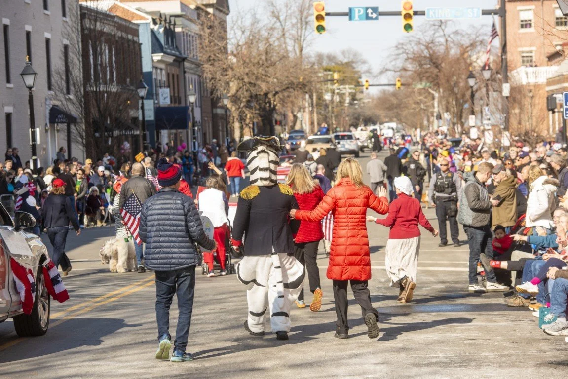Parade View with Zebra.jpg