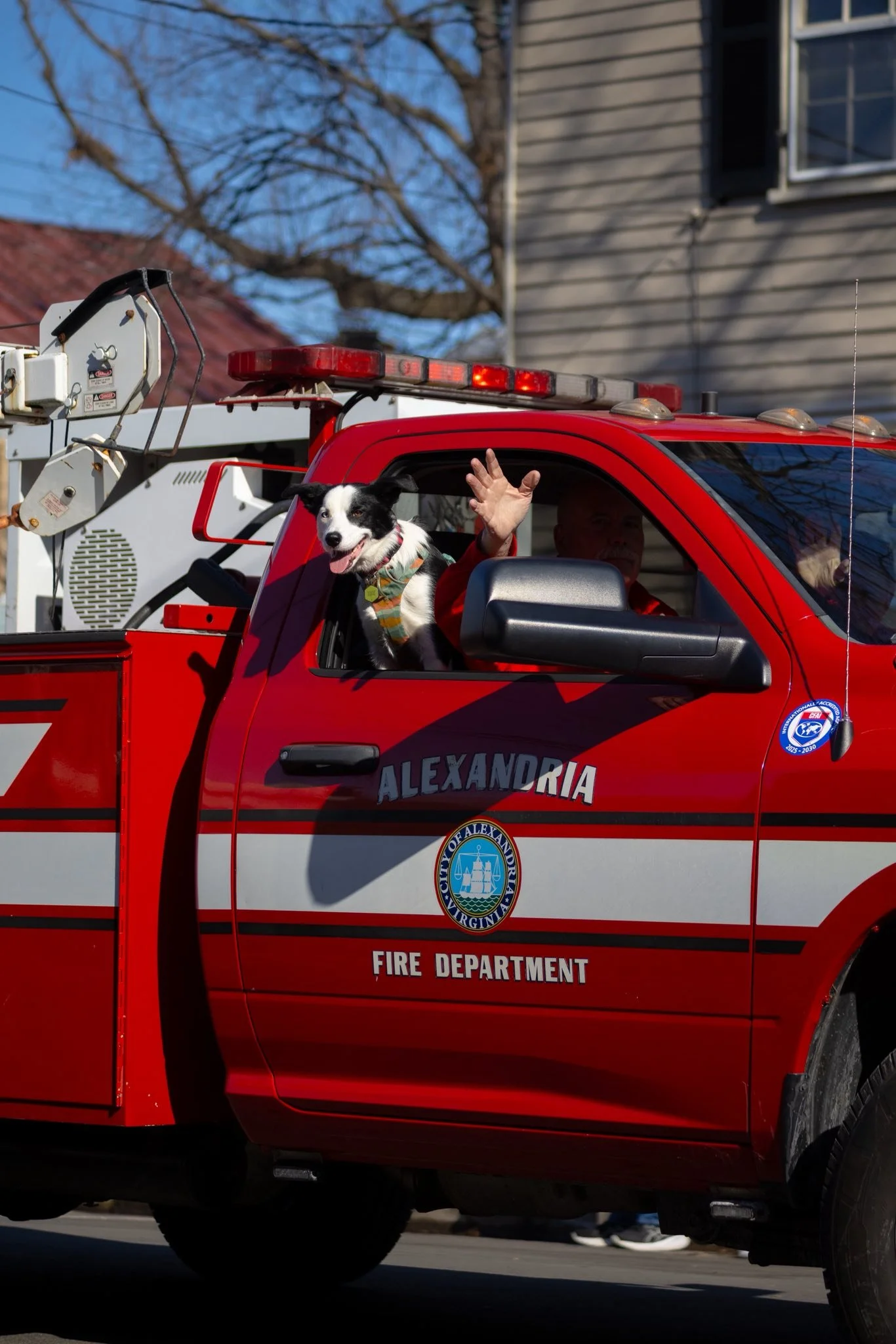 Dog in Fire Truck 2026.jpg