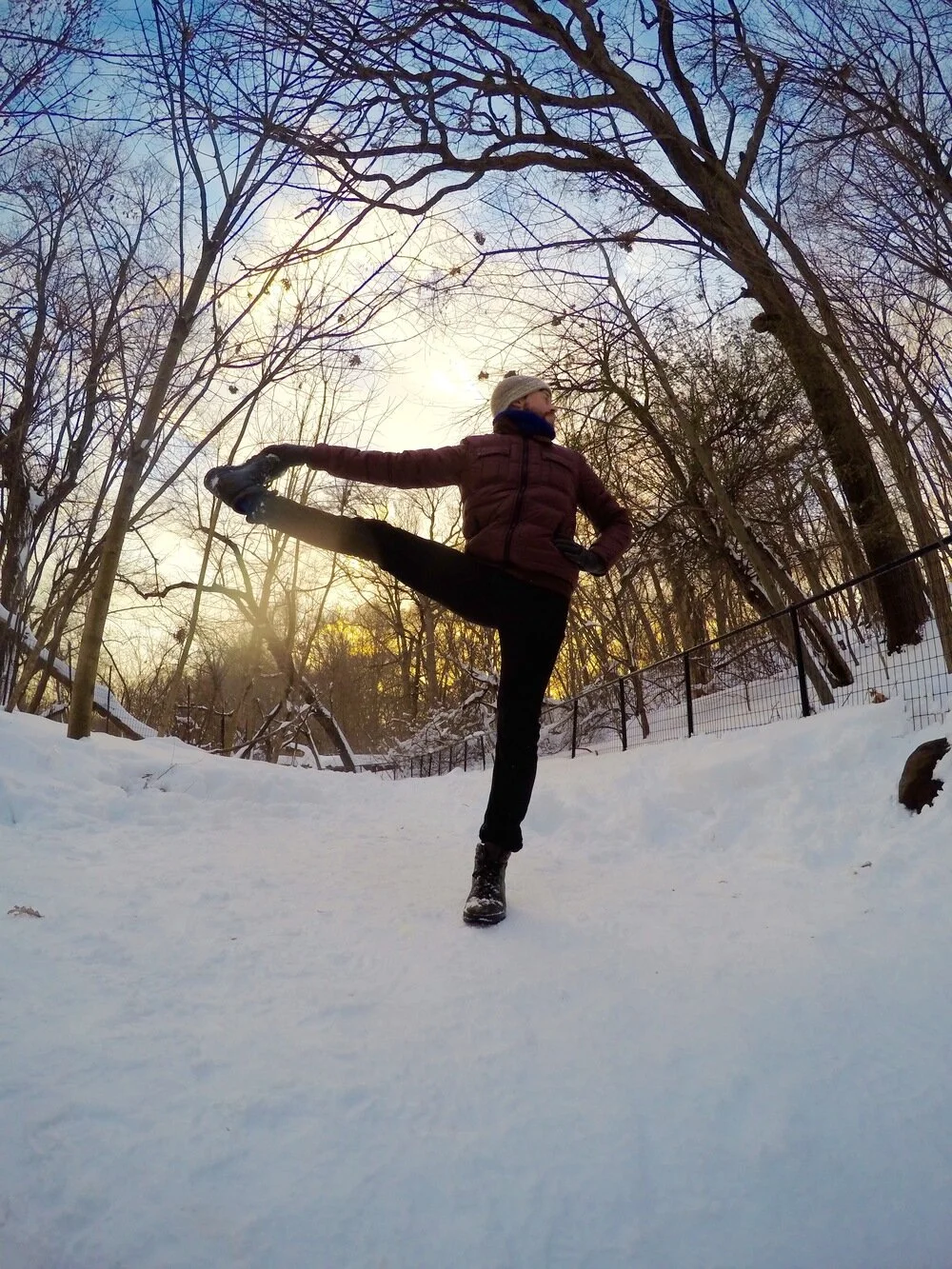 उत्थितहस्तपादाङ्गुष्ठासन : Utthita Hasta Padangusthasana.jpg
