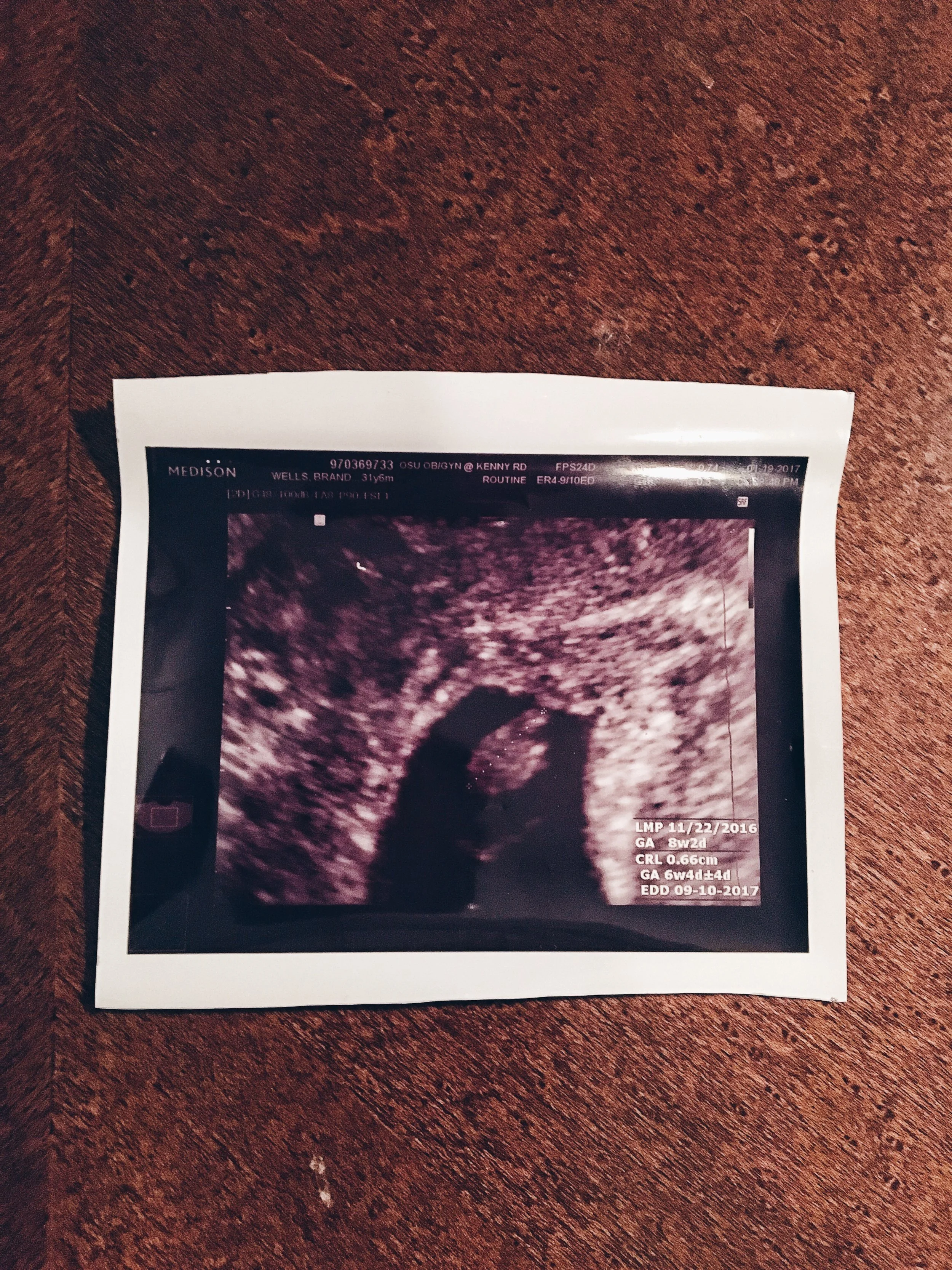 Baby Wells making a debut at 6 weeks....