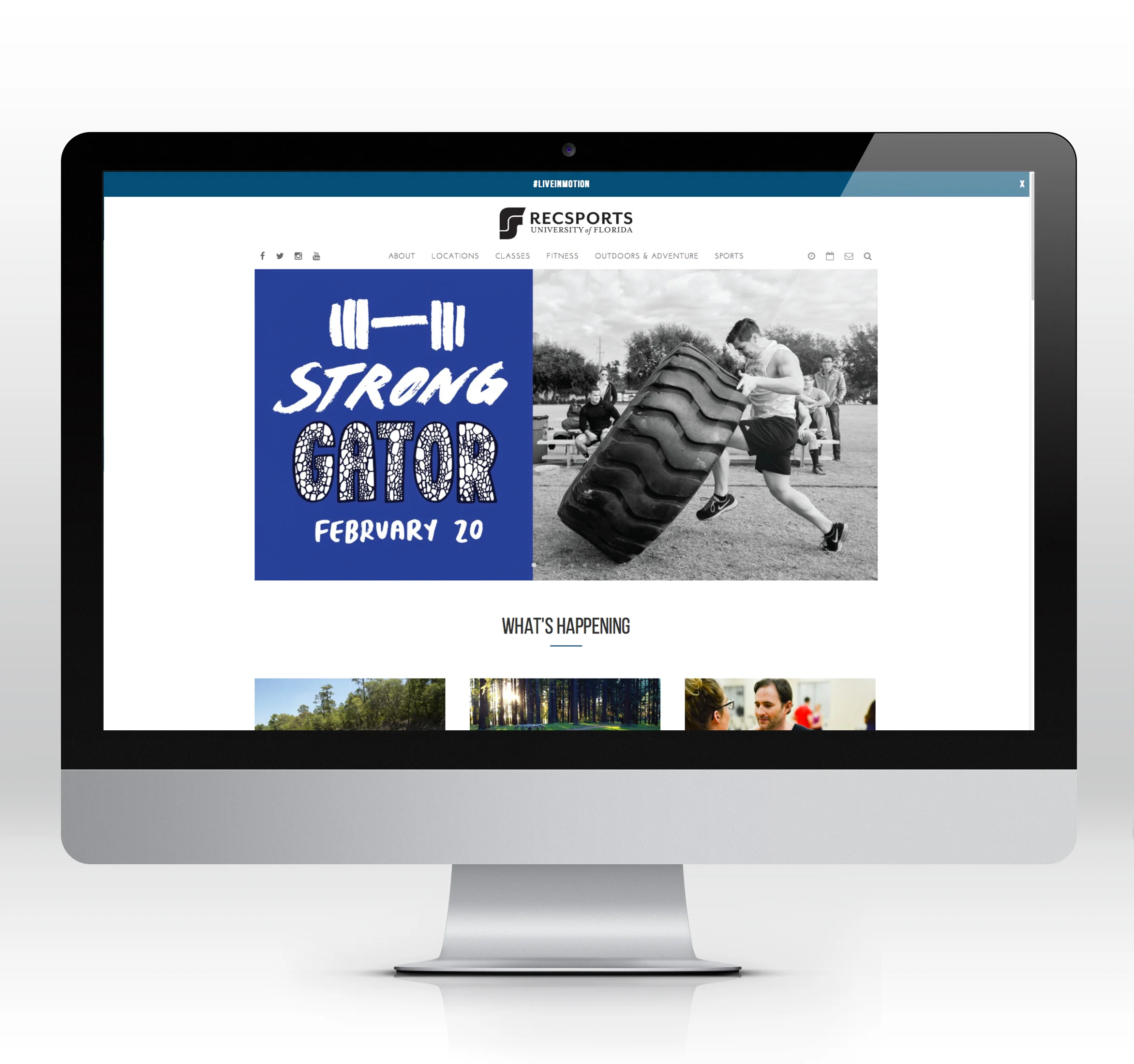 strong gator website.jpg