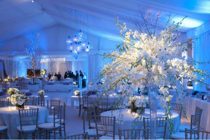 Tent Lighting Design & Installation