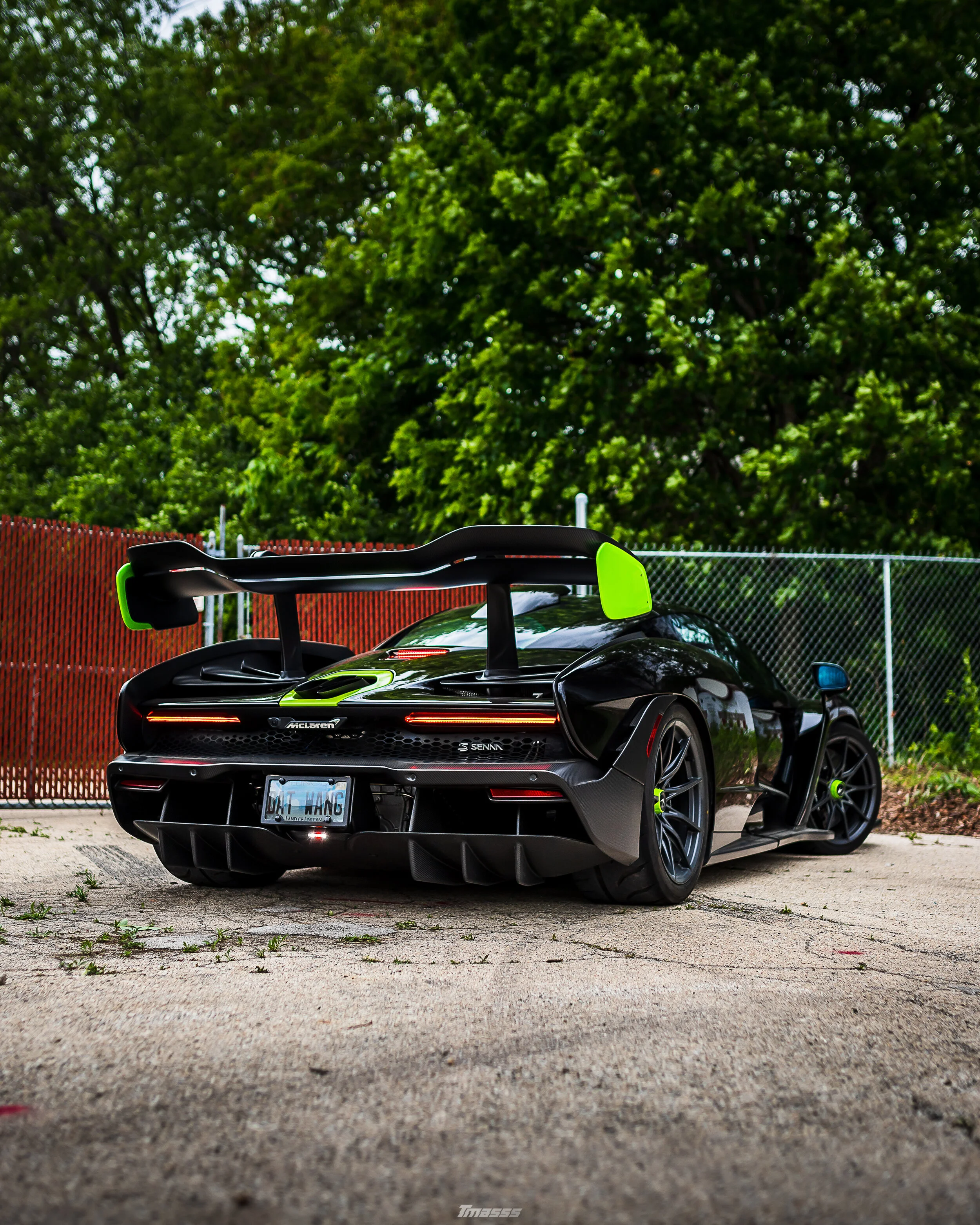 Hamilton Collection Senna-6725.JPG