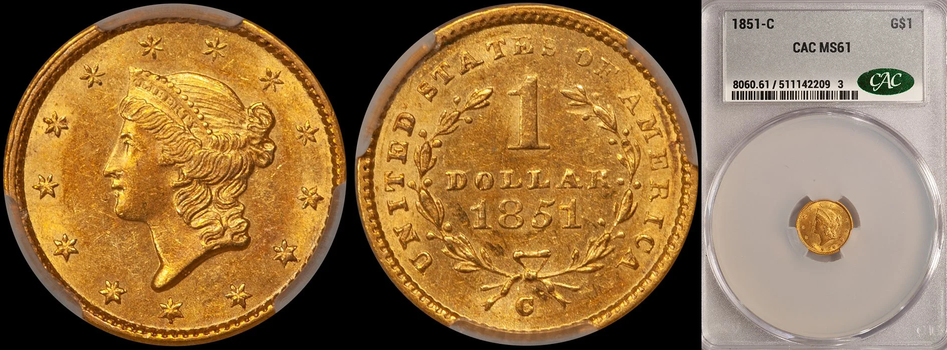 Gold Dollar. 1851-C Charlotte $1.00 gold coin. CACG MS61.
