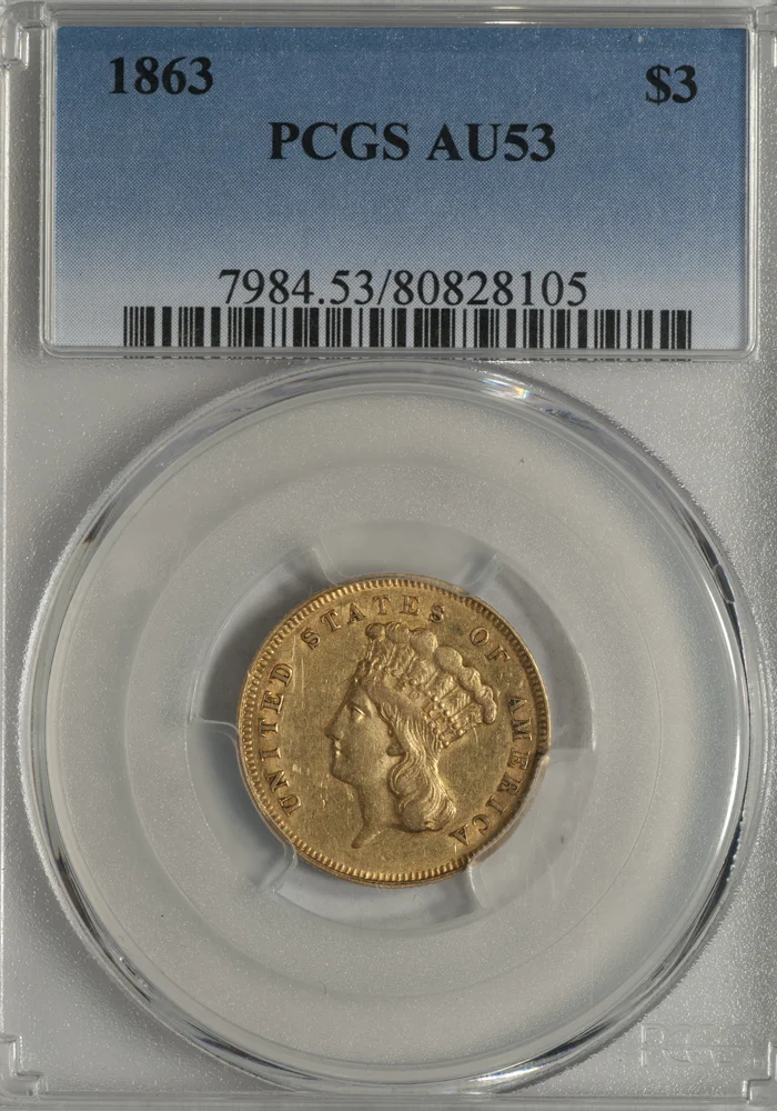 1863_3_P53_s.jpg