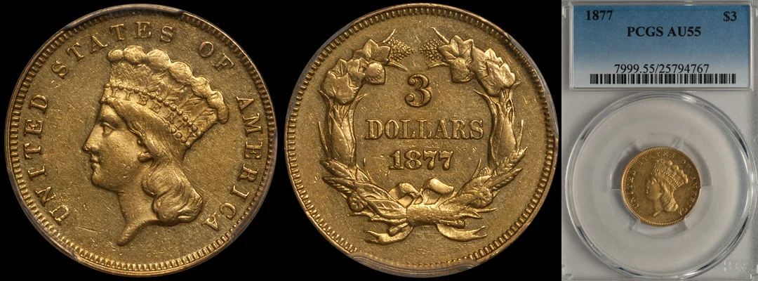1877_3_P55.jpg