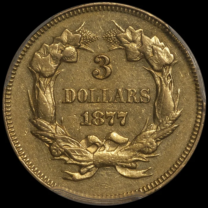 1877_3_P55_R.jpg