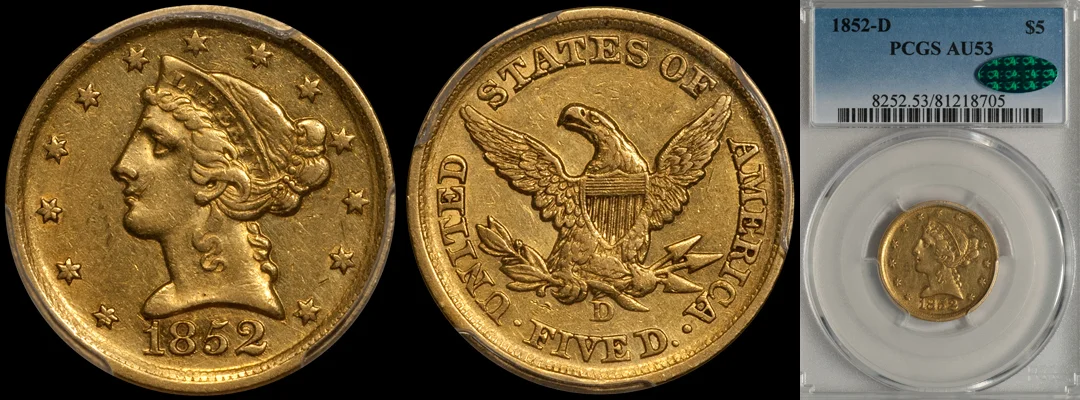 1852D_5_P53_CAC.jpg