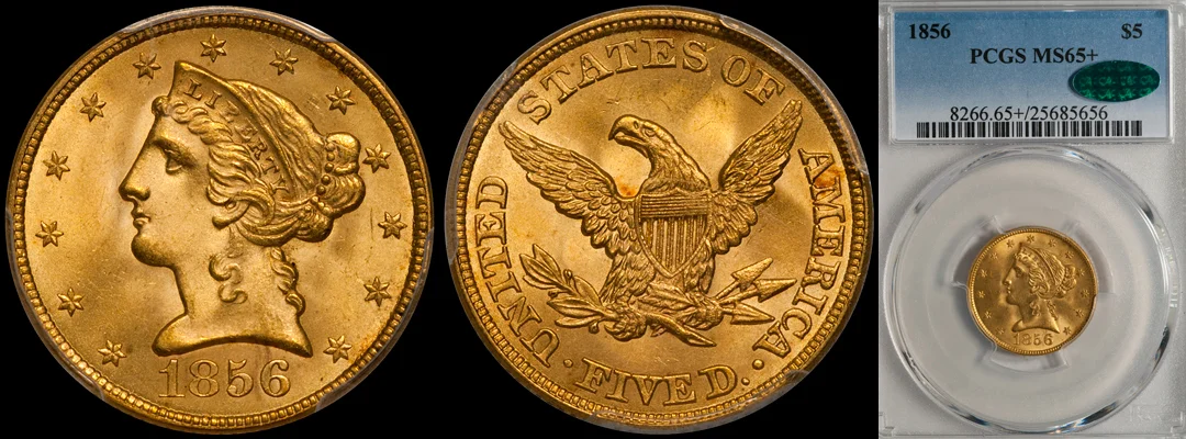 1856_5_P65plus_CAC.jpg