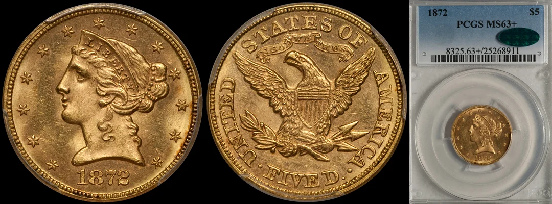 1872_5_P63plus_CAC.jpg