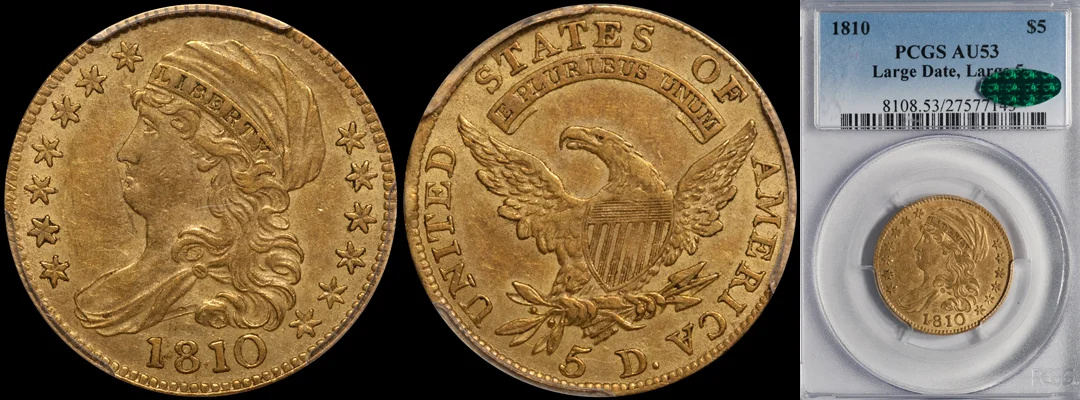 1810_5_lgdt_lg5_P53_CAC.jpg