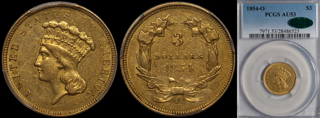 1854O_3_P53_CAC.jpg