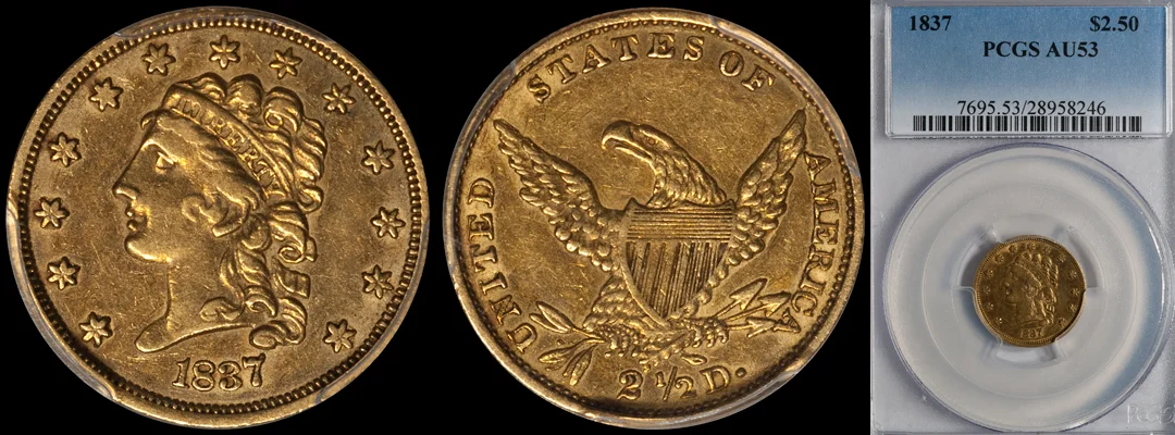 1837_250_P53.jpg