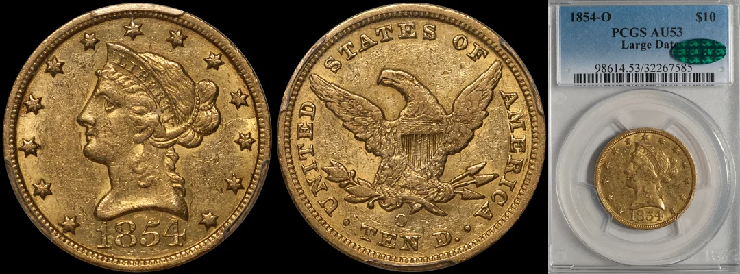 1854O_10_P53_CAC_lgdt.jpg