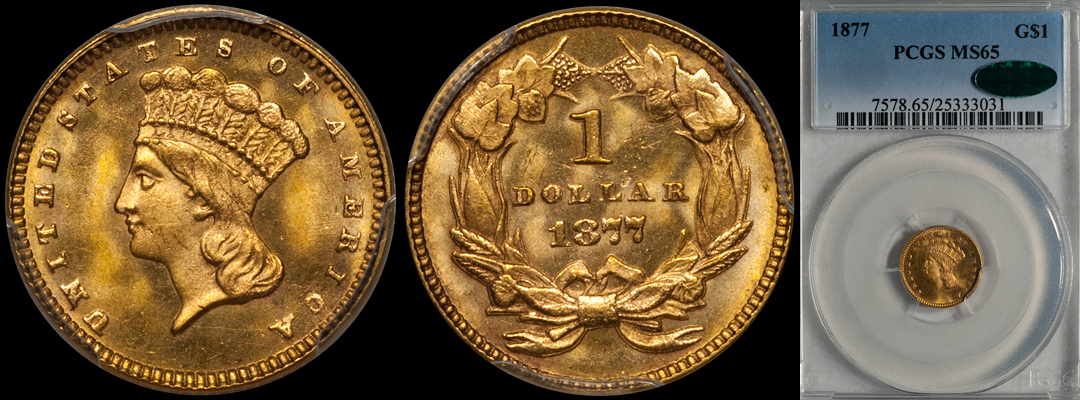 1877_1_P65_CAC.jpg