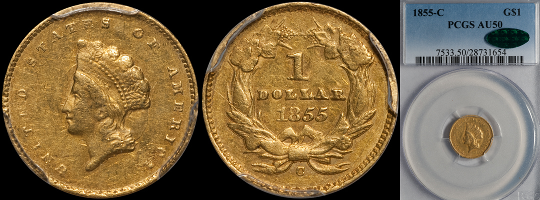 1855C_1_P50_CAC1.jpg