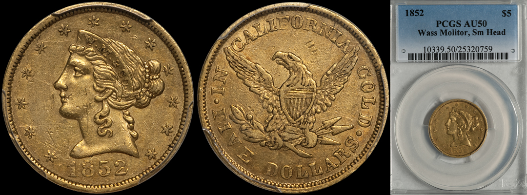 1852_5_P50_WASSMOLITOR.jpg