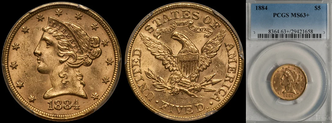 1884_5_P63plus.jpg