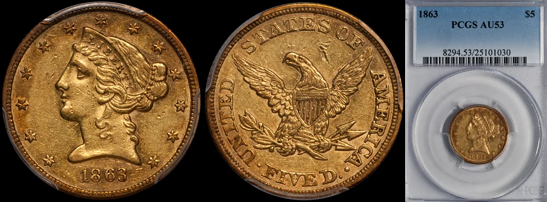 1863_5_P53.jpg