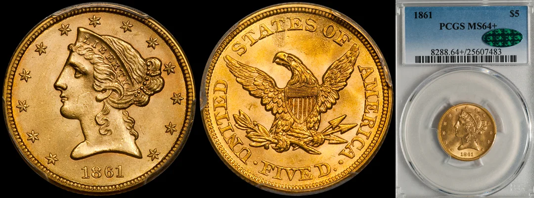 1861_5_P64plus_CAC.jpg
