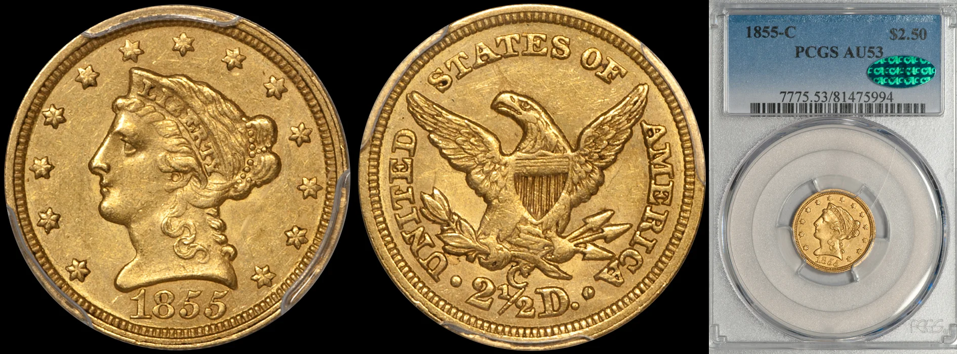 1855C_250_P53.jpg