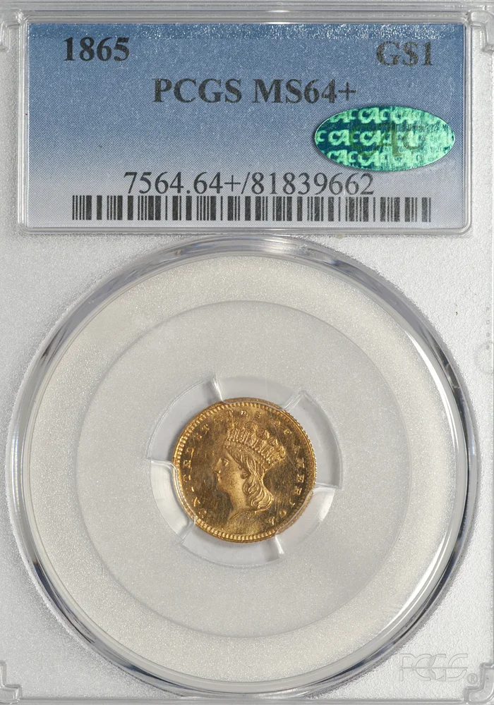 1865_1_P64PLUS_CAC_S.jpg