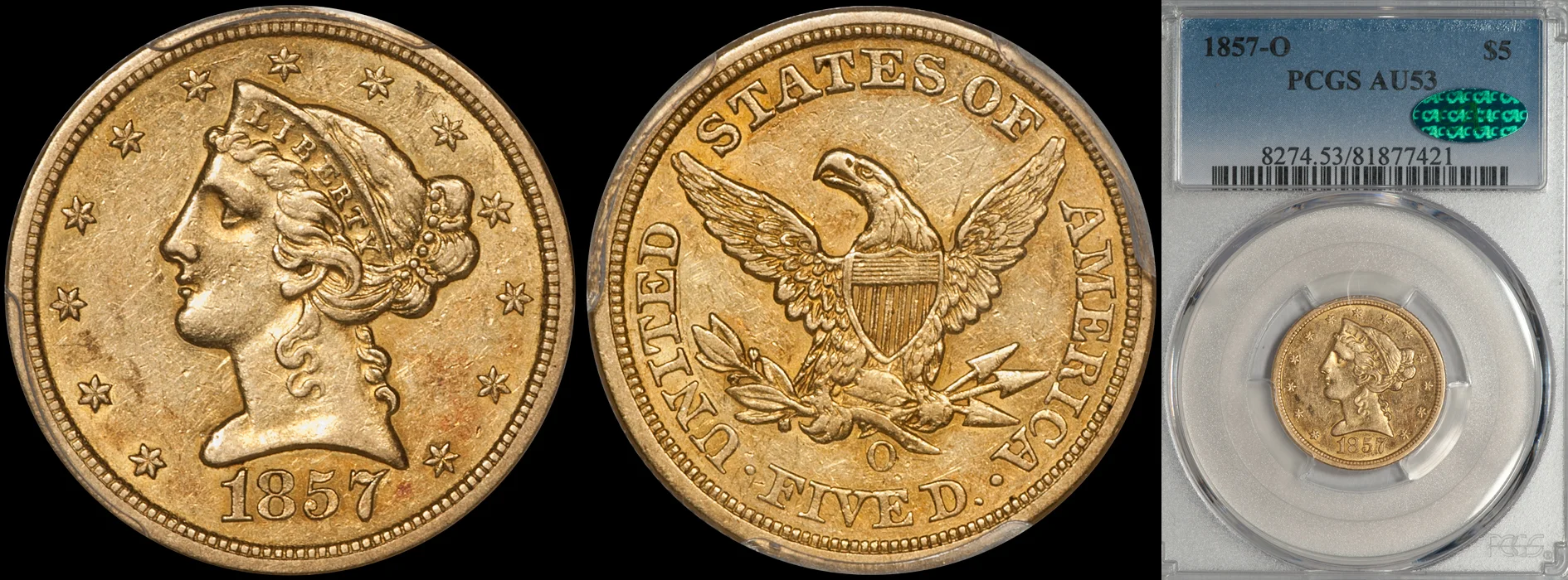 1857O_5_P53_CAC.jpg