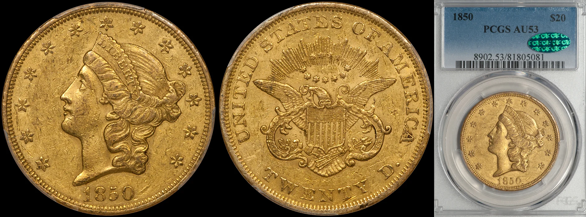 1850_20_P53_CAC.jpg