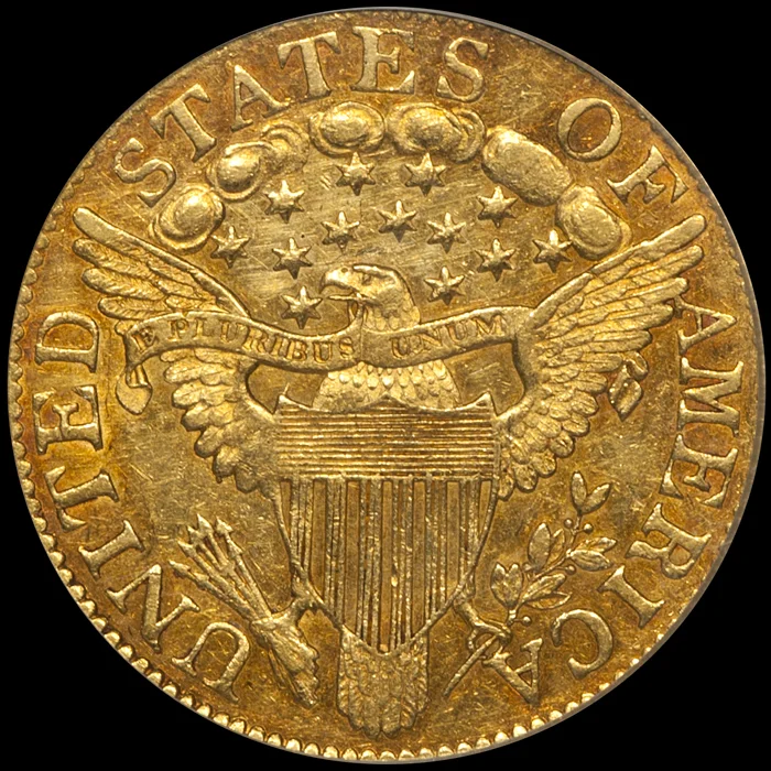 1805_5_P55_CAC_r.jpg