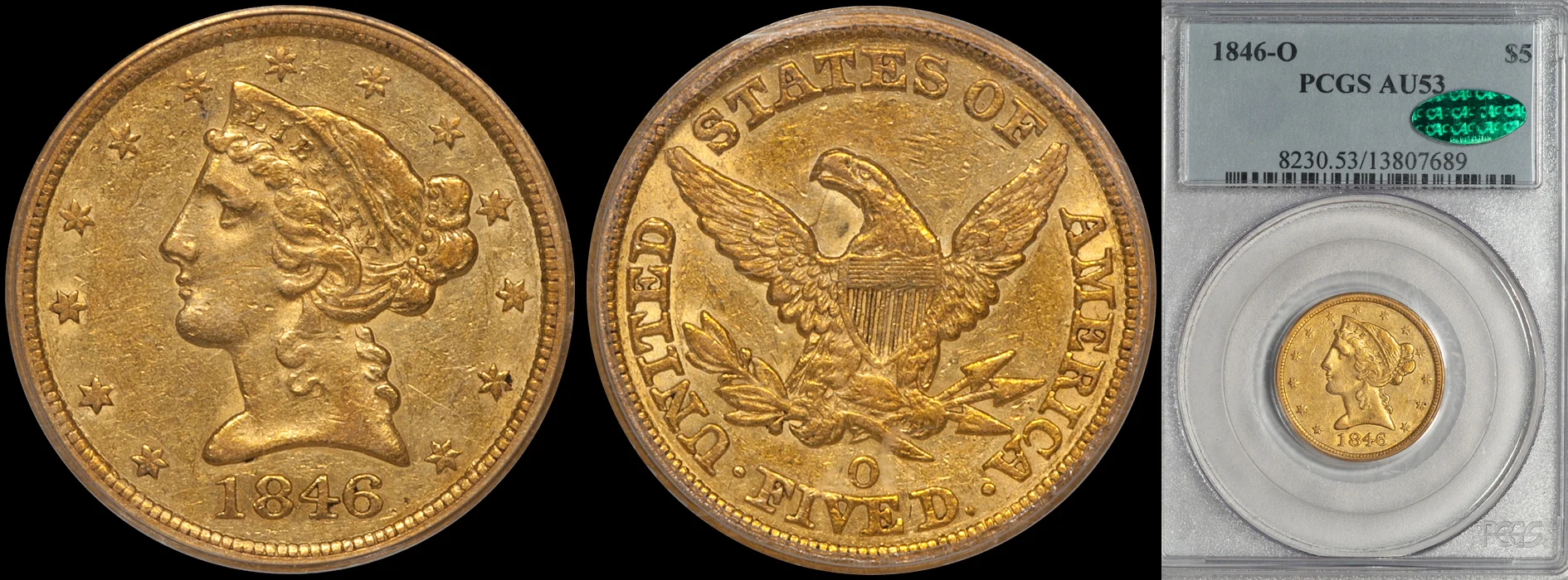 1846O_5_P53_CAC.jpg