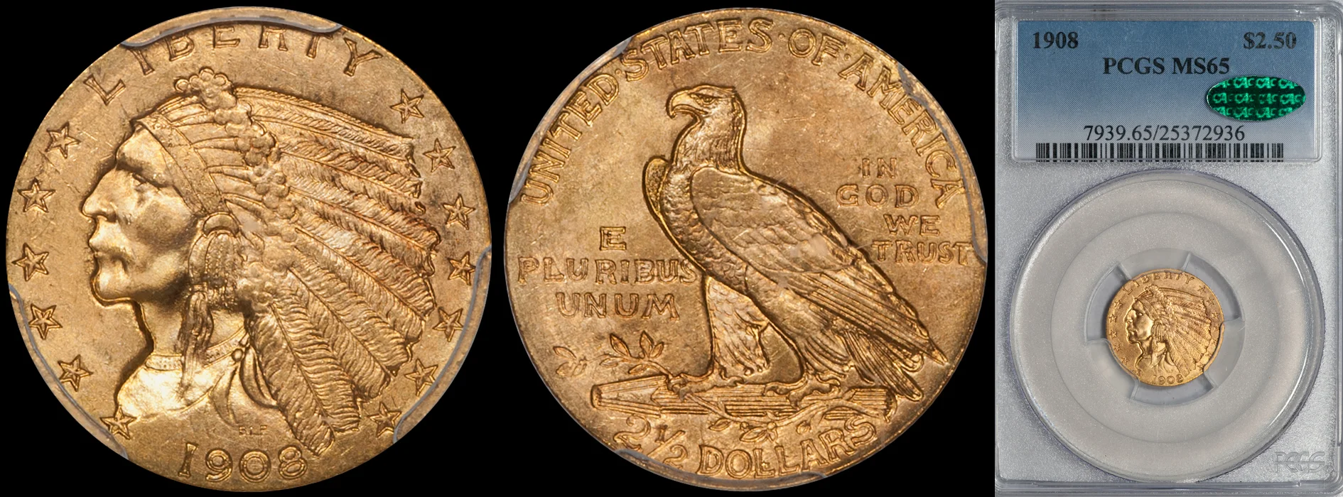 1908_250_P65_CAC.jpg