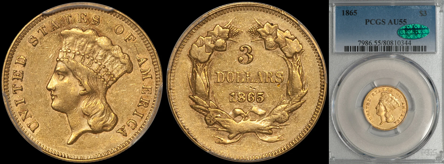 1865_3_P55_CAC.jpg