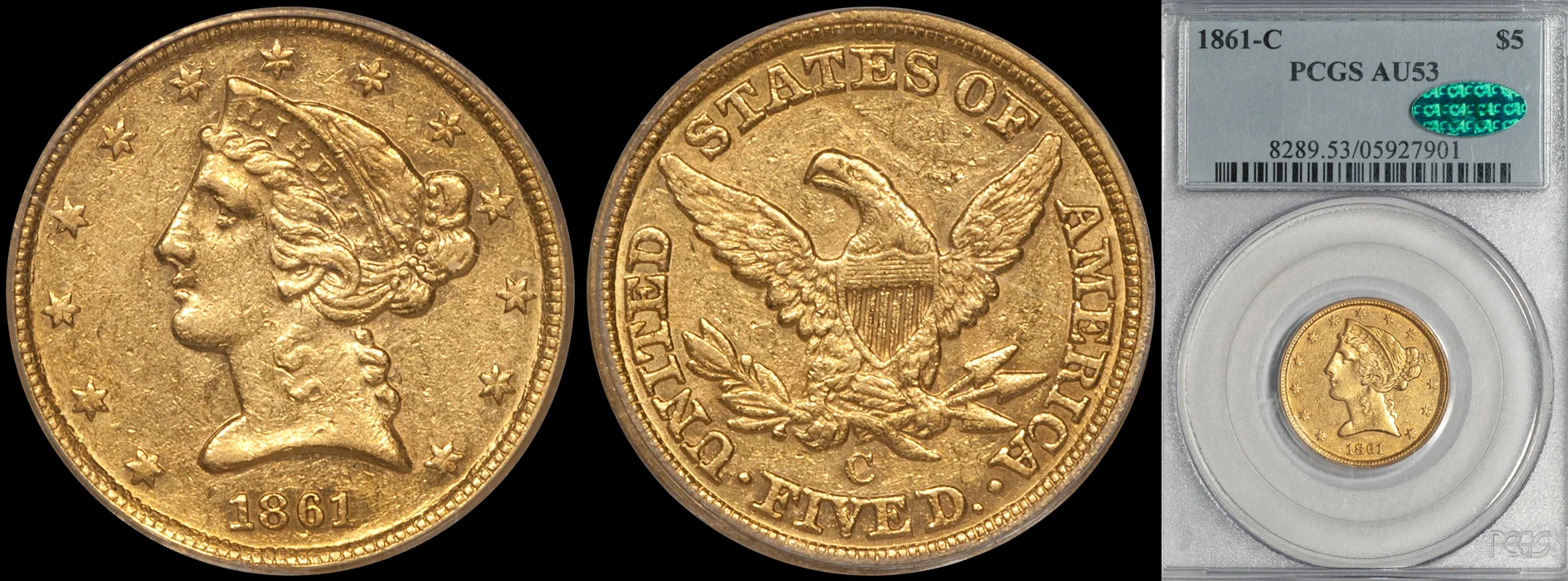 1861C_5_P53_CAC.jpg