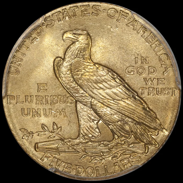 1908_5_P64plus_CAC_r.jpg