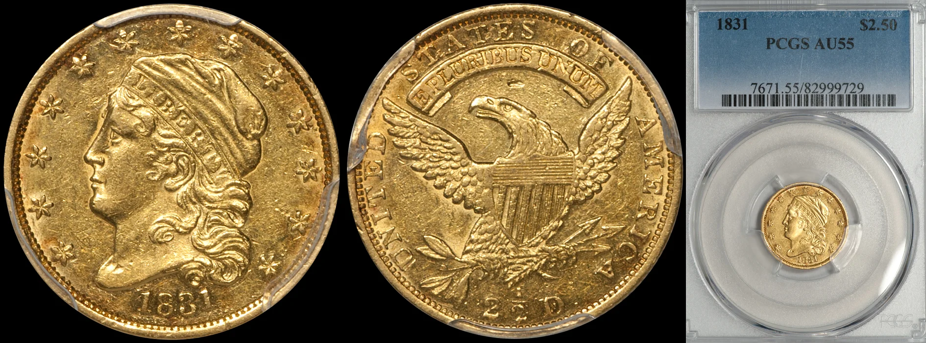 1831_250_P55.jpg