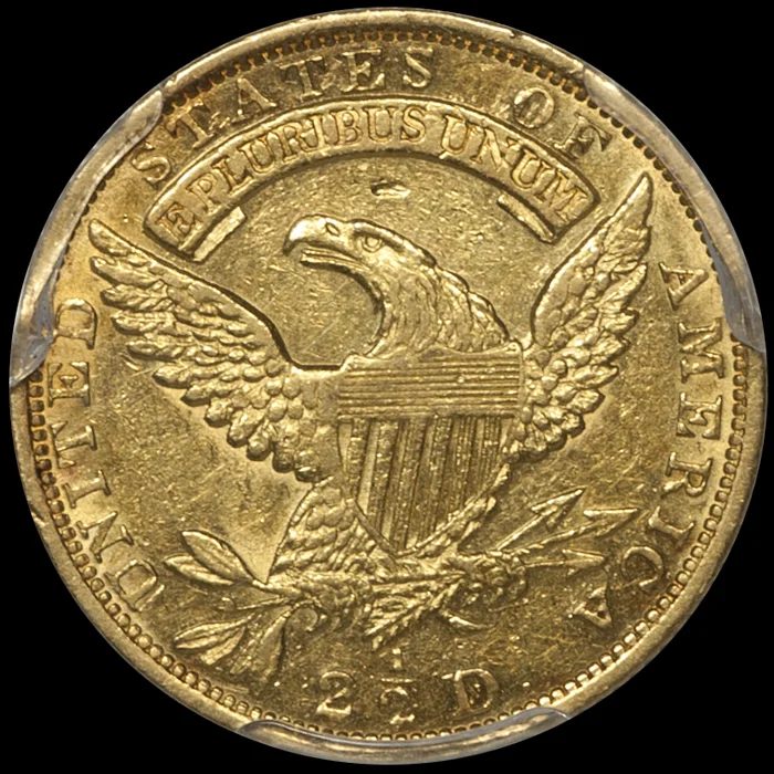 1831_250_P55_r.jpg