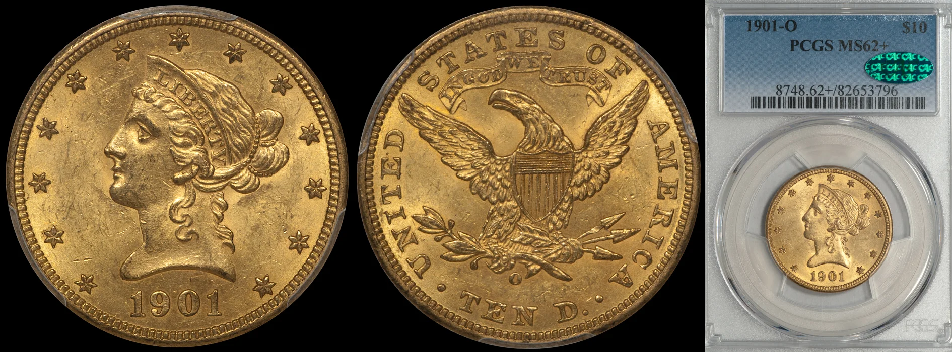 1901O_10_P62plus_CAC.jpg