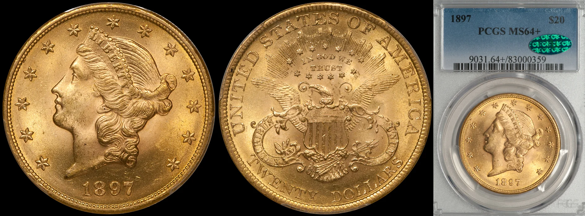 1897_20_P64plus_CAC.jpg