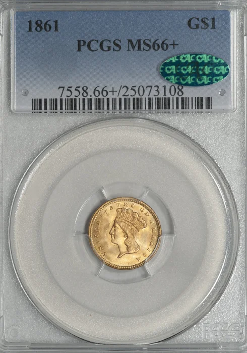 1861_1_P66plus_CAC_S.jpg