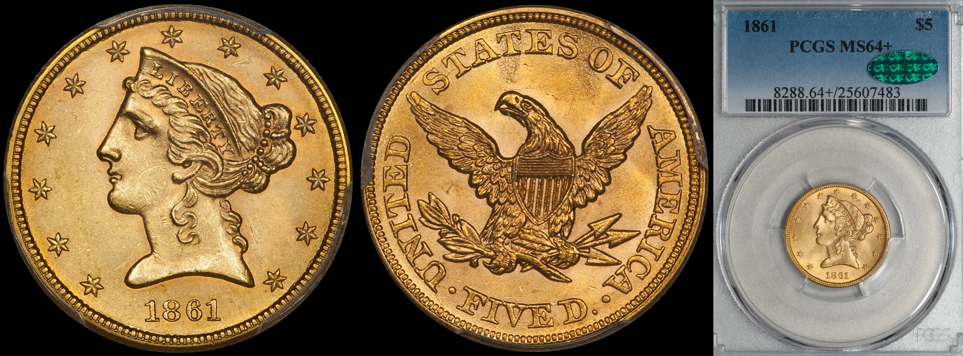 1861_5_P64plus_CAC.jpg