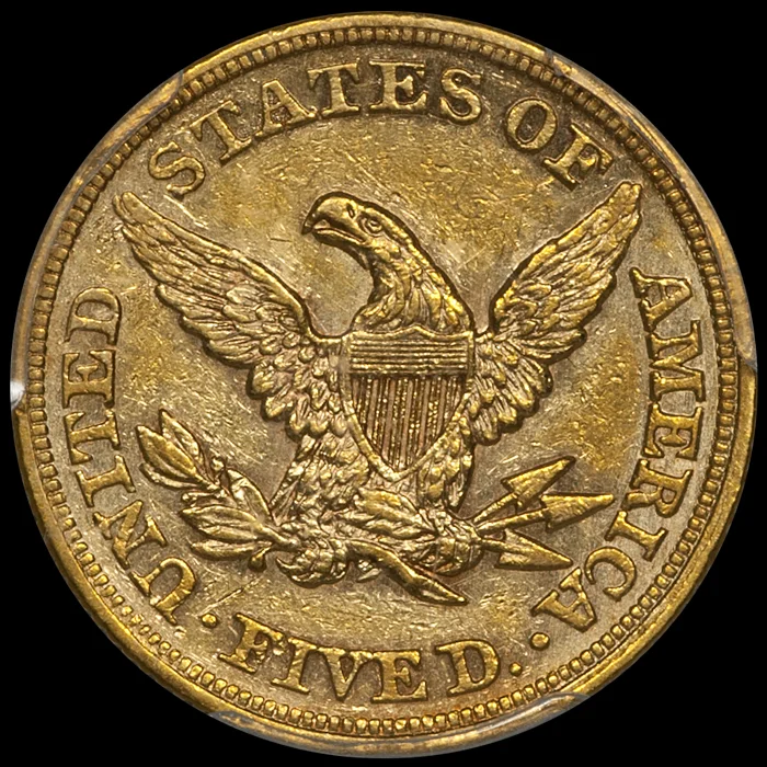 1863_5_P53_CAC_r.jpg