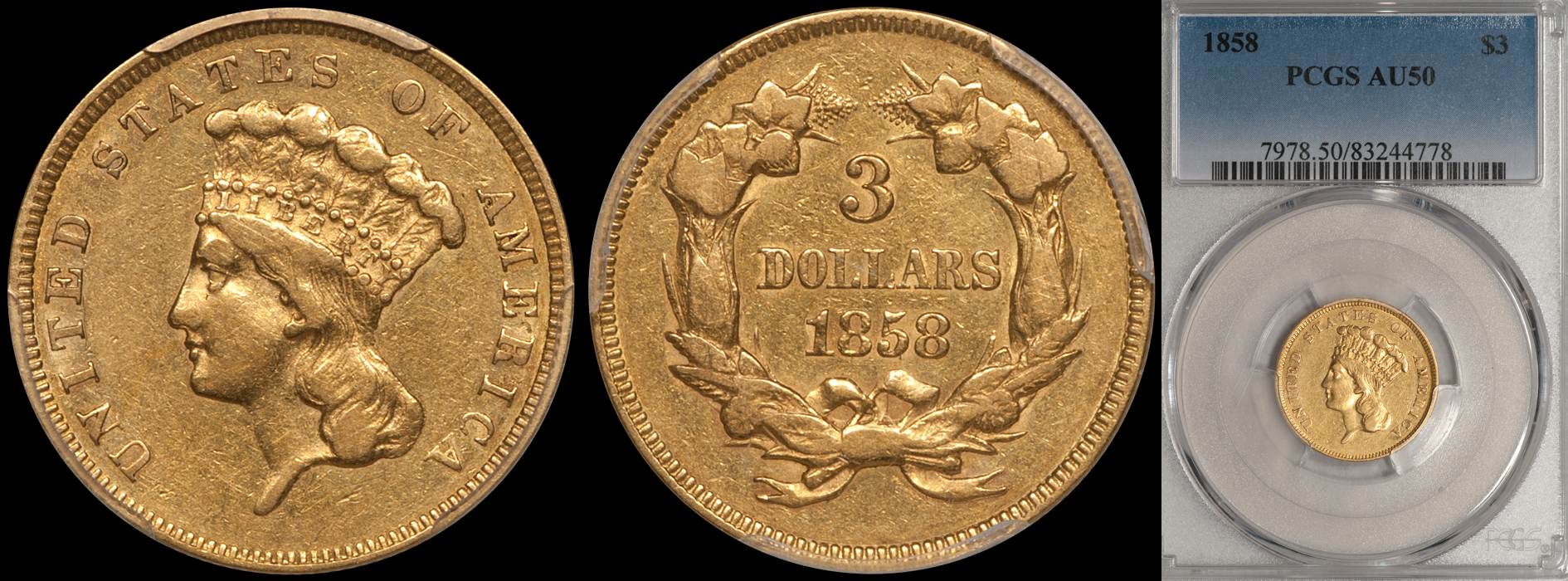 1858_3_P50.jpg
