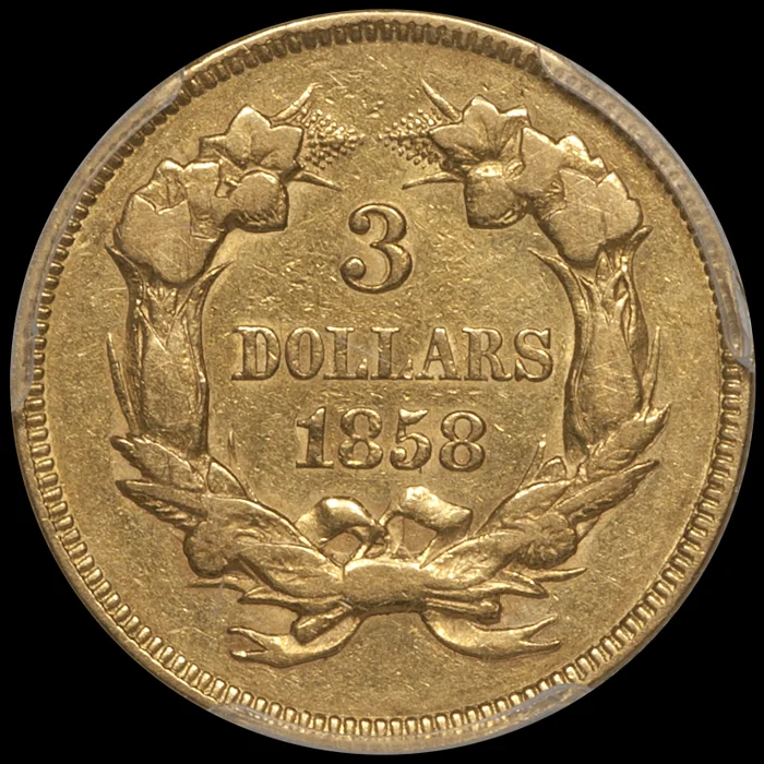 1858_3_P50_r.jpg