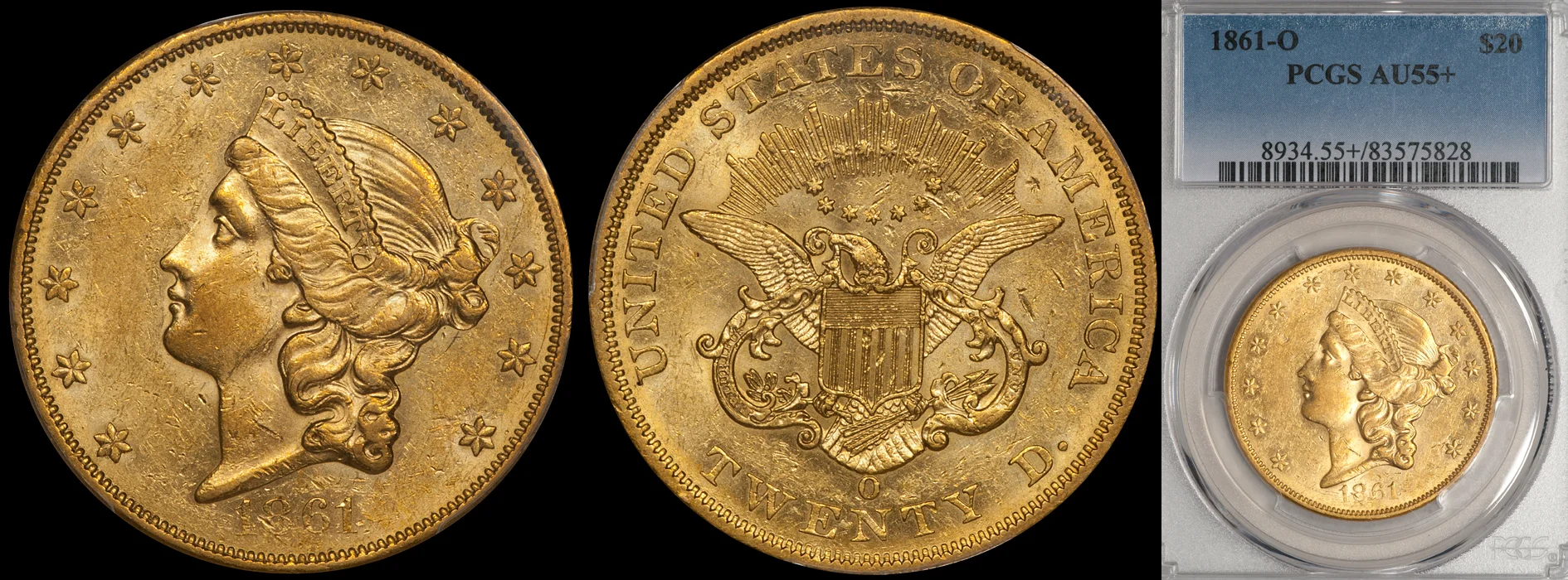 1861O_20_P55plus.jpg